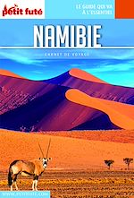 Download this eBook NAMIBIE 2019 Carnet Petit Futé