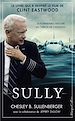 Télécharger le livre :  Sully