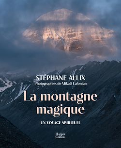 Télécharger le livre :  La montagne magique