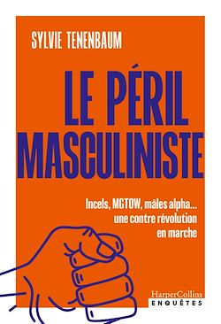 Télécharger le livre :  Le péril masculiniste