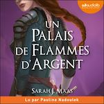 Télécharger le livre :  Un palais de flammes d'argent