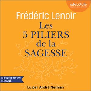 Téléchargez le livre :  Les 5 Piliers de la sagesse : petit manuel de résistance intérieure