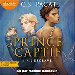 Télécharger le livre :  L'Esclave - Prince captif, tome 1