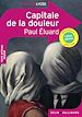 Télécharger le livre :  Capitale de la douleur