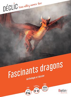 Téléchargez le livre :  Fascinants dragons