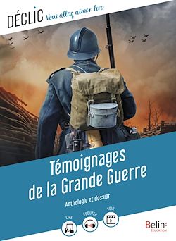 Télécharger le livre :  Témoignages de la Grande guerre