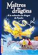 Télécharger le livre :  Maîtres des dragons, Tome 07