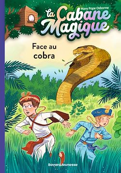 Télécharger le livre :  La cabane magique, Tome 40