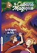 Télécharger le livre :  La cabane magique, Tome 50