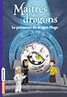 Télécharger le livre :  Maîtres des dragons, Tome 13
