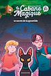 Télécharger le livre :  La Cabane magique Bande dessinée, Tome 03
