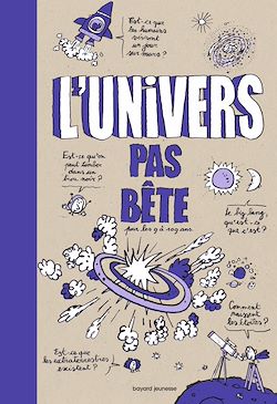 Télécharger le livre :  L'univers pas bête
