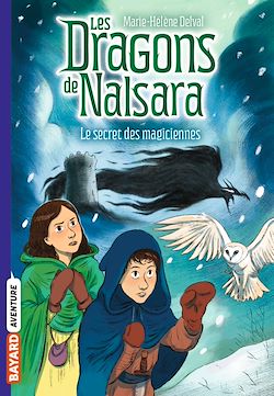 Télécharger le livre :  Les dragons de Nalsara, Tome 07