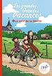 Télécharger le livre :  Les grandes grandes vacances, Tome 04