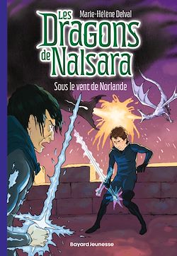 Télécharger le livre :  Les dragons de Nalsara, Tome 20