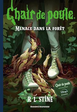 Télécharger le livre :  Chair de poule , Tome 22