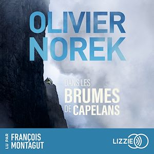 Download the eBook: Dans les brumes de Capelans