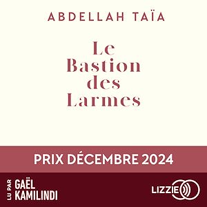 Download the eBook: Le bastion des larmes - Le roman marocain contemporain d'Abdellah Taïa sur l'identité et l'héritage