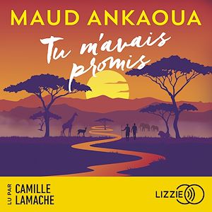 Téléchargez le livre :  Tu m'avais promis