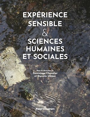 Téléchargez le livre :  Expérience sensible & sciences humaines et sociales