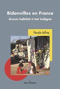 Télécharger le livre : Bidonvilles en France