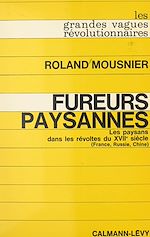 Download this eBook Fureurs paysannes : les paysans dans les révoltes du XVIIe siècle (France, Russie, Chine)