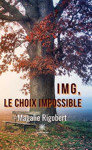 Download the eBook: IMG, le choix impossible