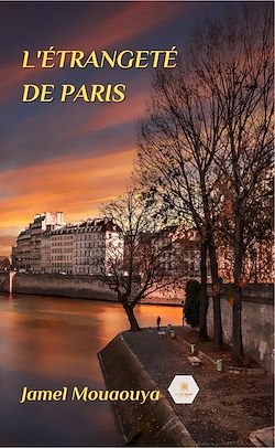 Télécharger le livre :  L'étrangeté de Paris