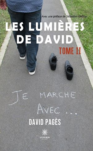 Download the eBook: Les lumières de David - Tome 2