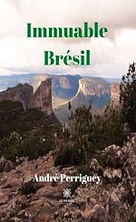 Download this eBook Immuable Brésil