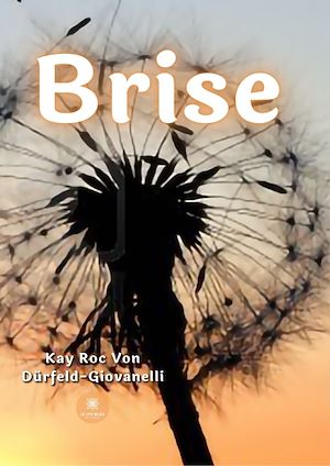 Download the eBook: Brise