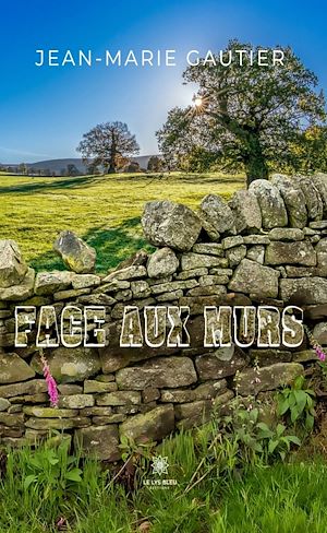 Download the eBook: Face aux murs