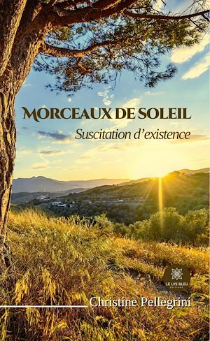 Download the eBook: Morceaux de soleil