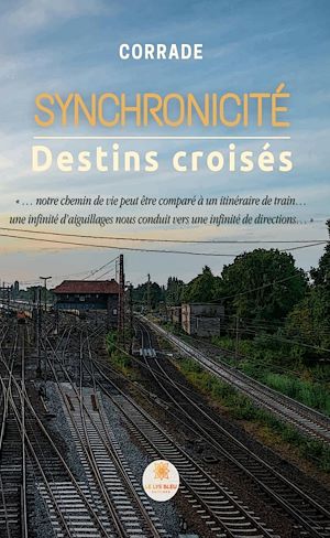 Download the eBook: Synchronicité