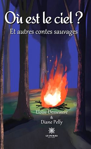 Téléchargez le livre :  Où est le ciel ?
