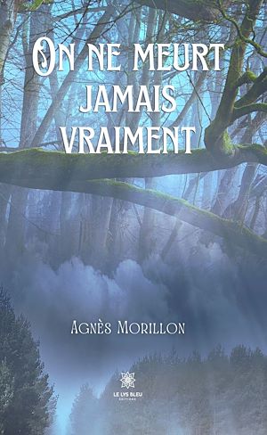 Download the eBook: On ne meurt jamais vraiment