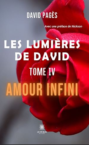 Download the eBook: Les lumières de David - Tome 4