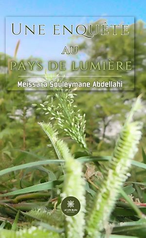 Download the eBook: Une enquête au pays de lumière