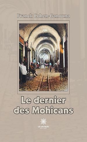 Download the eBook: Le dernier des Mohicans