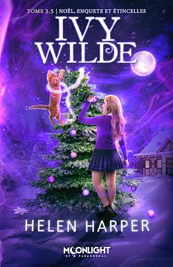 Télécharger le livre :  Noël, enquête et étincelles