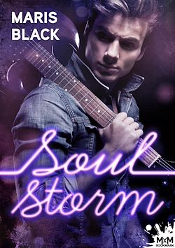 Télécharger le livre :  Soul Storm