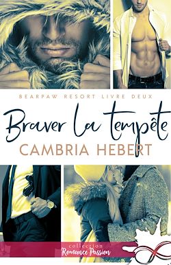 Télécharger le livre :  Braver la tempête