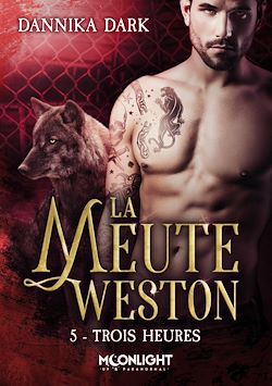 Télécharger le livre :  Trois heures