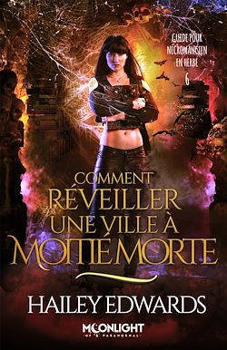 Télécharger le livre :  Comment réveiller une ville à moitié morte