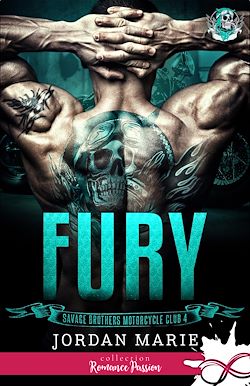 Télécharger le livre :  Fury