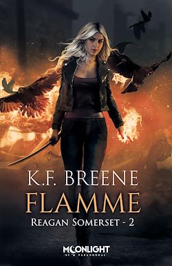 Télécharger le livre :  Flamme