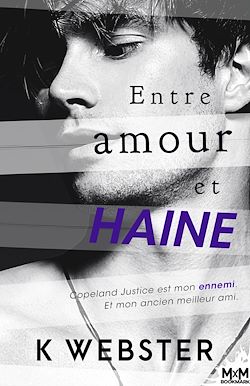 Télécharger le livre :  Entre amour et haine