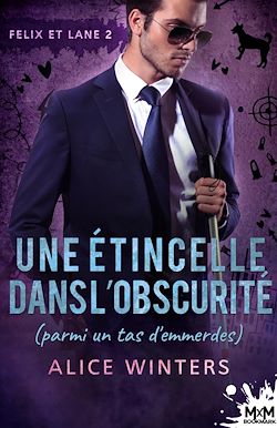 Télécharger le livre :  Une étincelle dans l'obscurité (parmi un tas d'emmerdes)