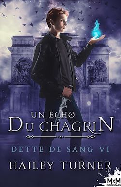 Télécharger le livre :  Un écho du chagrin