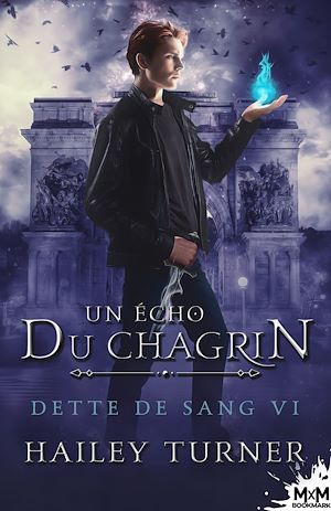 Téléchargez le livre :  Un écho du chagrin